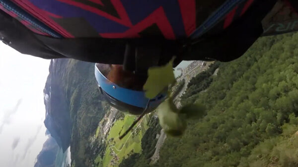 Wingsuiter besluit in volle vaart een takje mee te nemen
