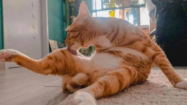 Tijd om de dag af te sluiten met een hele lading perfecte pics