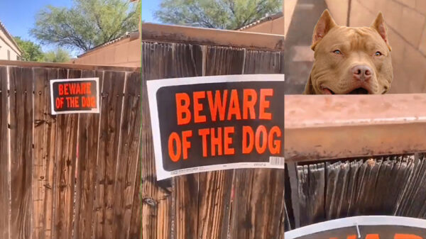 WAARSCHUWING: pas op voor de hond