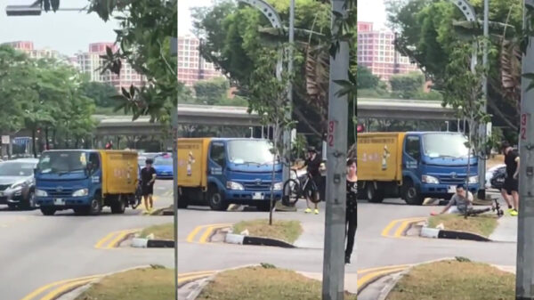 Wielrenner hoekt irritante automobilist tegen de vlakte