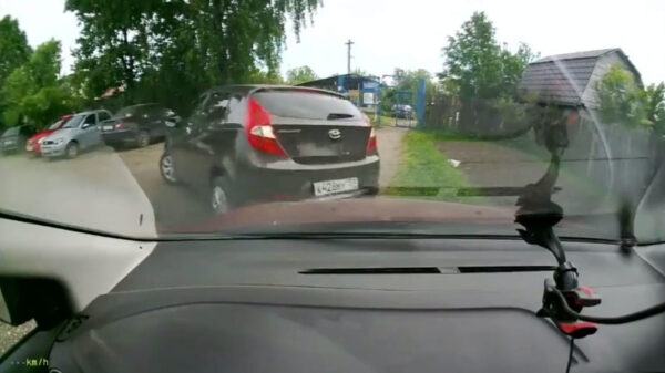 Zelfs een klein stukje achteruitrijden is voor deze dame iets te hoog gegrepen