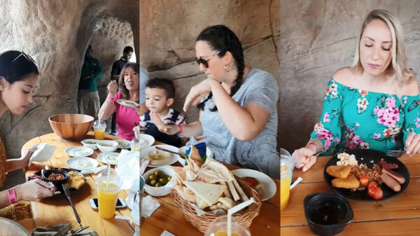 Wie is toch die persoon die steeds alle sla opeet?