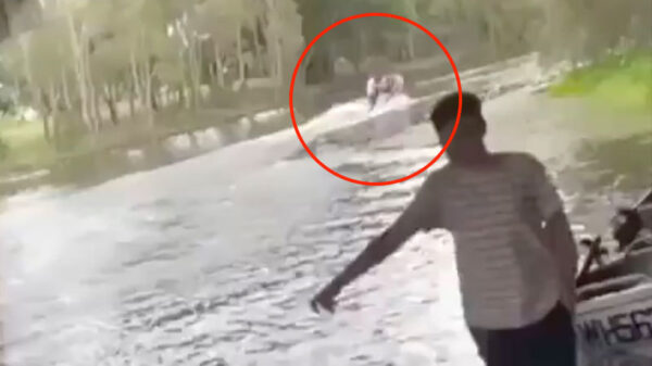 De eerste keer zelf varen is voor deze uitslover behoorlijk pijnlijk