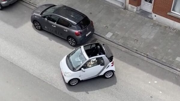 Fransoos met grootheidswaan heeft problemen om het gaatje te vinden