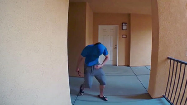 Sneaky buurman wil pakketje jatten maar blijkt niet het allerhelderste licht