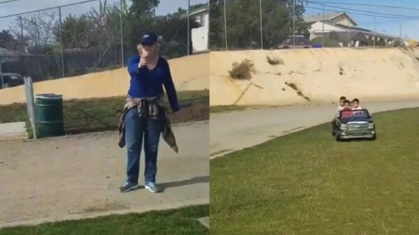 Vrouw in Amerikaans park flipt omdat spelende koters geen rijbewijs hebben