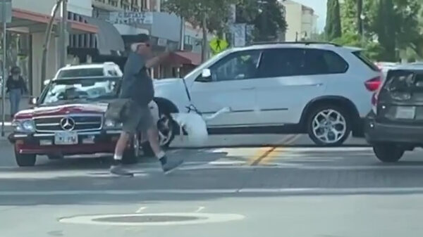 Brb, even mijn gans uitlaten