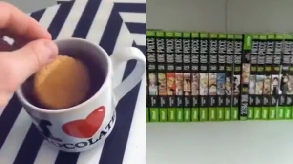 Een verschrikkelijk nare compilatie die 2020 eigenlijk perfect beschrijft