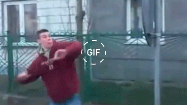 Karma uitgebeeld in 25 heerlijke gifs