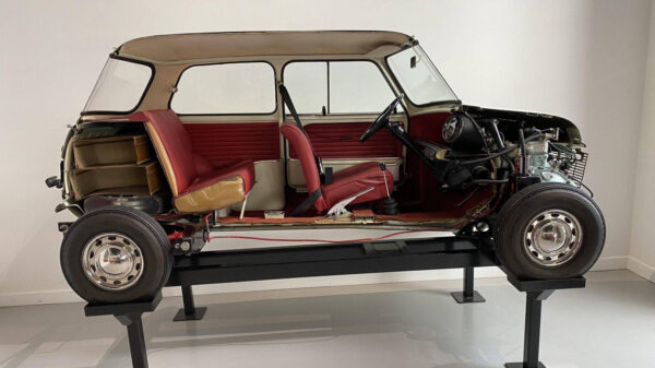 Sommige zaken zien er doormidden gesneden behoorlijk bizar uit