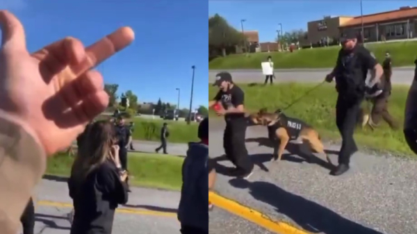 Protip: ga als demonstrant nooit te dicht bij een politiehond staan