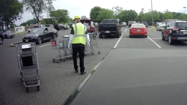 Het avontuur van de absolute nietskunner en zijn winkelwagens