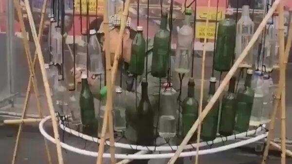 Muzikale maestro pingelt een leuk stukje op lege flessen