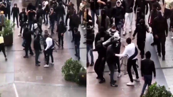 Man stopt in zijn eentje een hele bende plunderaars in Gotenburg, Zweden