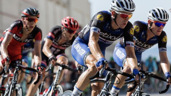 Wielrenner wordt gevloerd door een aantal overstekende koeien