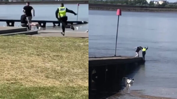 Ontsnappen aan de politie gaat prima door een agent in het water te gooien