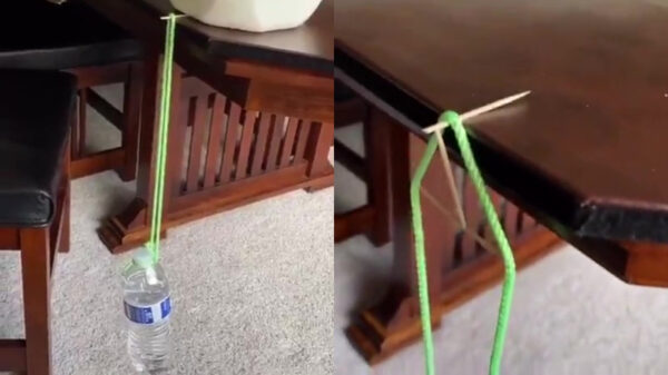 Gewoon een vet natuurkunde-experiment met een paar tandenstokers