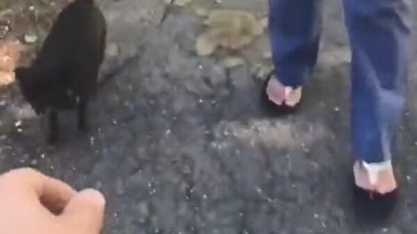 Awwwwh, wat schattig