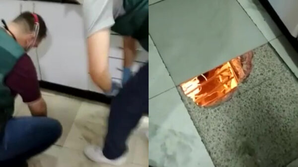 Agenten ontdekken 'kruidentuintje' onder de keukenvloer