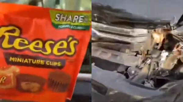 Sorry voor de schade joh, hier heb je wat chocola