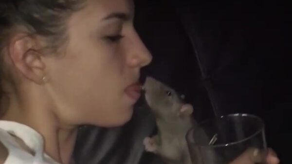 Dame deelt alles met haar nieuwe kleine vriendje