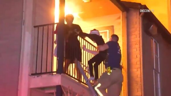 Amerikaanse brandweer gooit koters in brandende woning