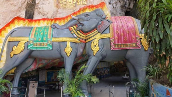 Naar sommige pics moet je echt minimaal twee keer kijken