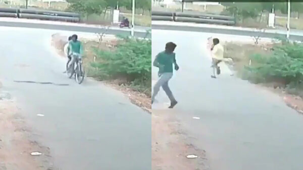 Slang blijkt uitermate effectieve fietsendief