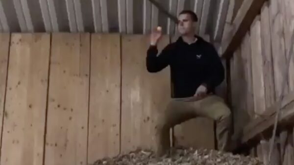 De winnende worp met een keurige headshot vieren