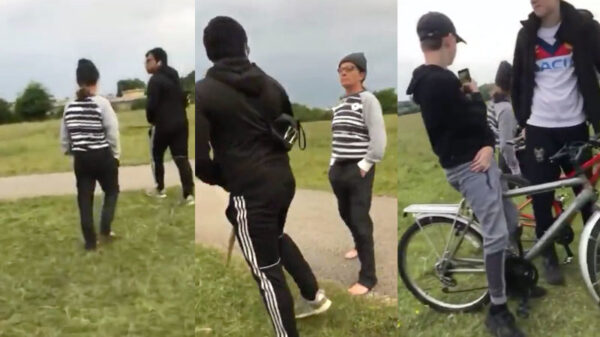 Engelse hondenhaatster valt jongen lastig die rustig zijn hond uitlaat