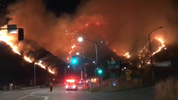 Meer dan 200 brandweerlieden ingezet bij heftige bosbrand in Bel-Air