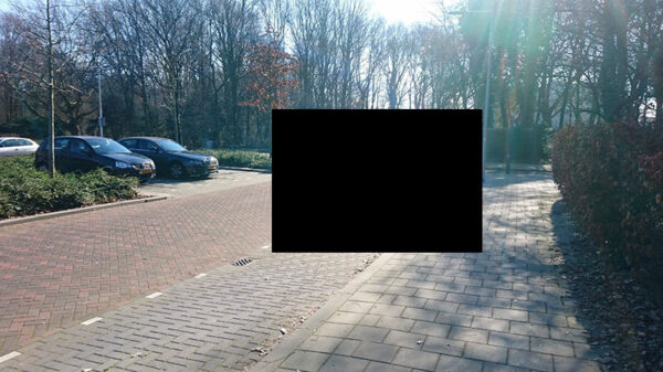 Vrouw is supertrots dat ze zo netjes heeft ingeparkeerd!