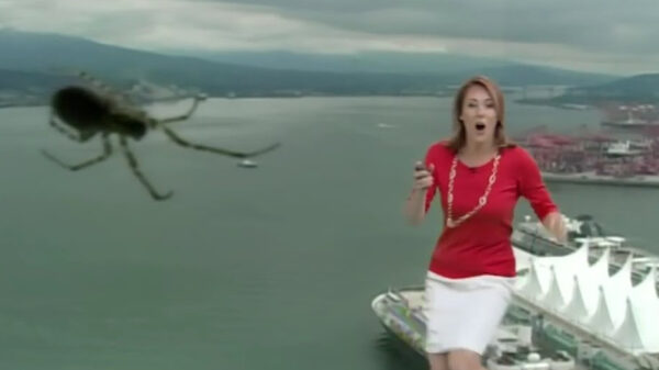 Deze nieuwslezers kregen het aan de stok met vogels en insecten