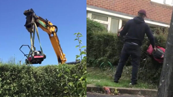 De heg trimmen met een grasmaaier gaat eigenlijk beter dan verwacht