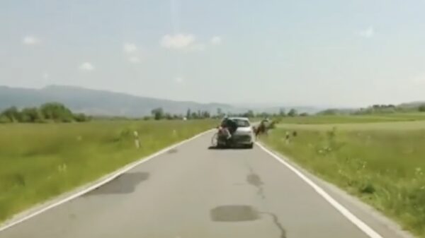 18-jarige automobilist neemt wraak en geeft wielrenners een remtest