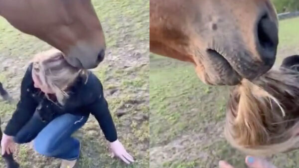 Wel eens een paardenmeisje met een slechte dag gezien?