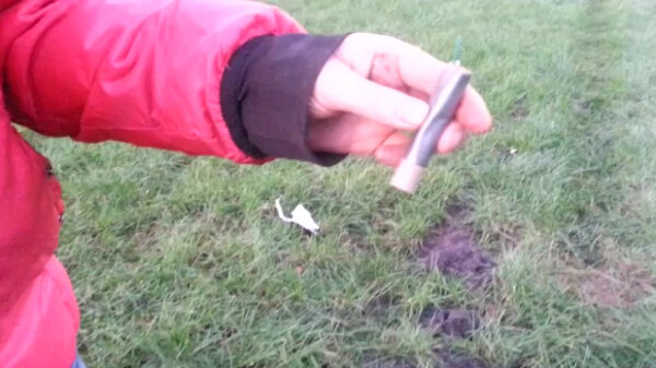 Koters zijn stevig onder de indruk van een nitraatje