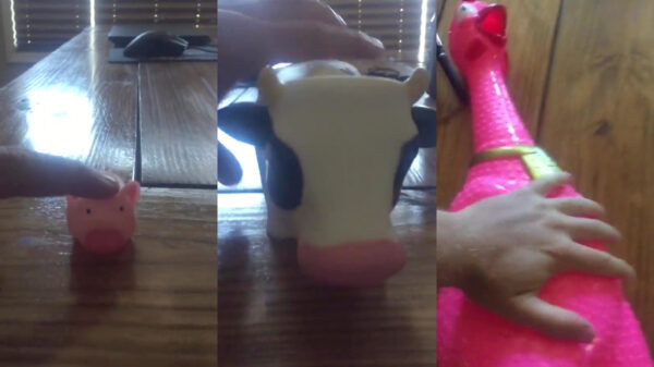 Deze kip maakt een verdomd indrukwekkend geluid