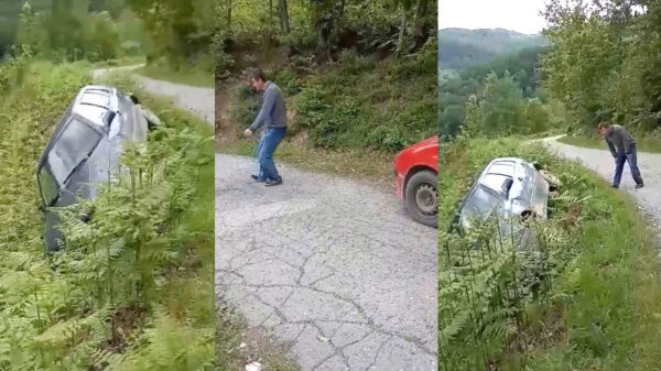 Met je bezopen bakkes toch even checken wat er is gebeurd