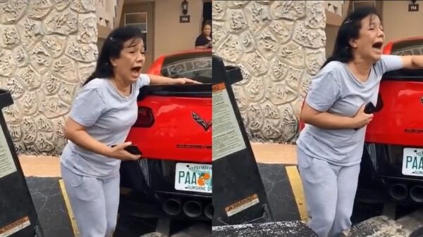 Dramaqueen geeft haar ziel en zaligheid omdat haar zoons auto wordt weggesleept