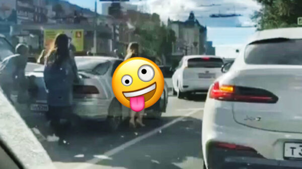 IJverige dame besluit ook even de auto weg te duwen