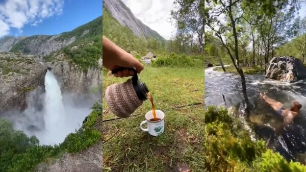 Goedemorgen: tijd voor een heerlijk vers kopje koffie in de wildernis