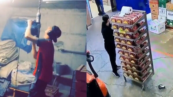 Alle fails van week 25 op een rij