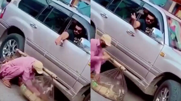 De hele voorraad vogels van een straatverkoper vrijlaten