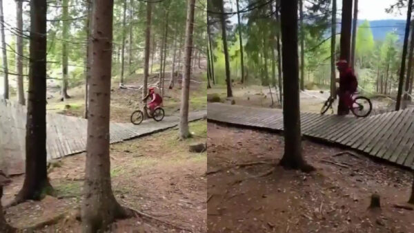 BMX'er neemt het in volle vaart op tegen een boom