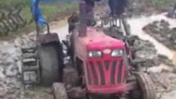 Dankzij een vastzittende tractor zal hij de komende dagen wel flink stinken