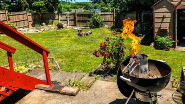 Vleesliefhebbers loopt het water in de mond bij deze BBQ-pics