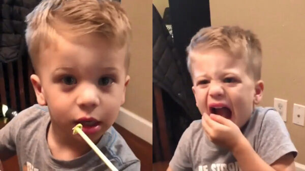 Vader van het jaar geeft zijn goedgelovige koter wasabi