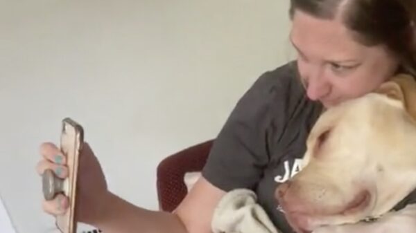 "Helaas vriend, ze is nu van mij"