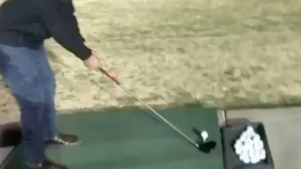 De nieuwe Tiger Woods is opgestaan